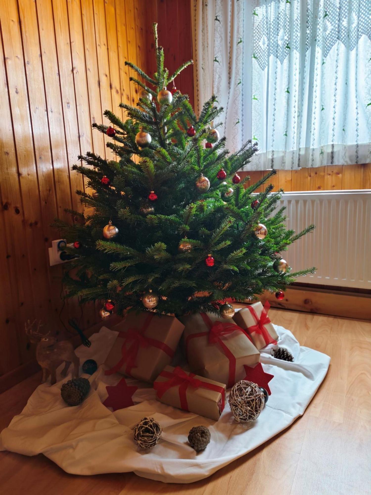 Erwin'S Apartment Bildstein ภายนอก รูปภาพ
